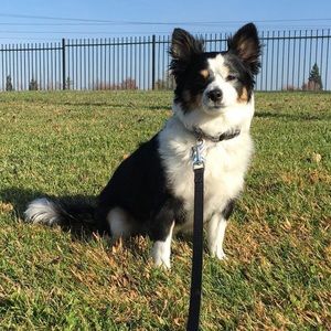 Meet your Posher, Manpreet